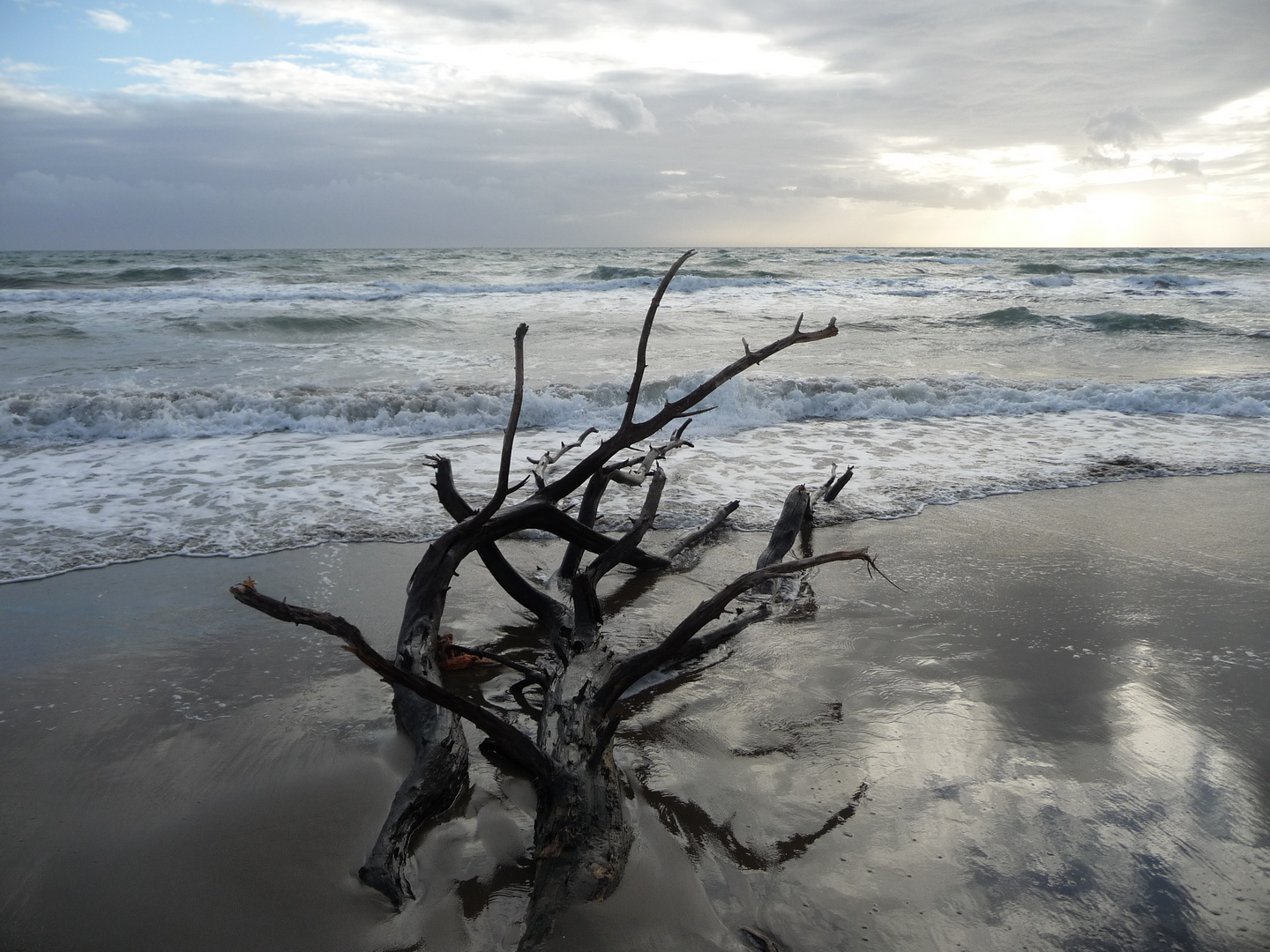 Winter in Andalusien