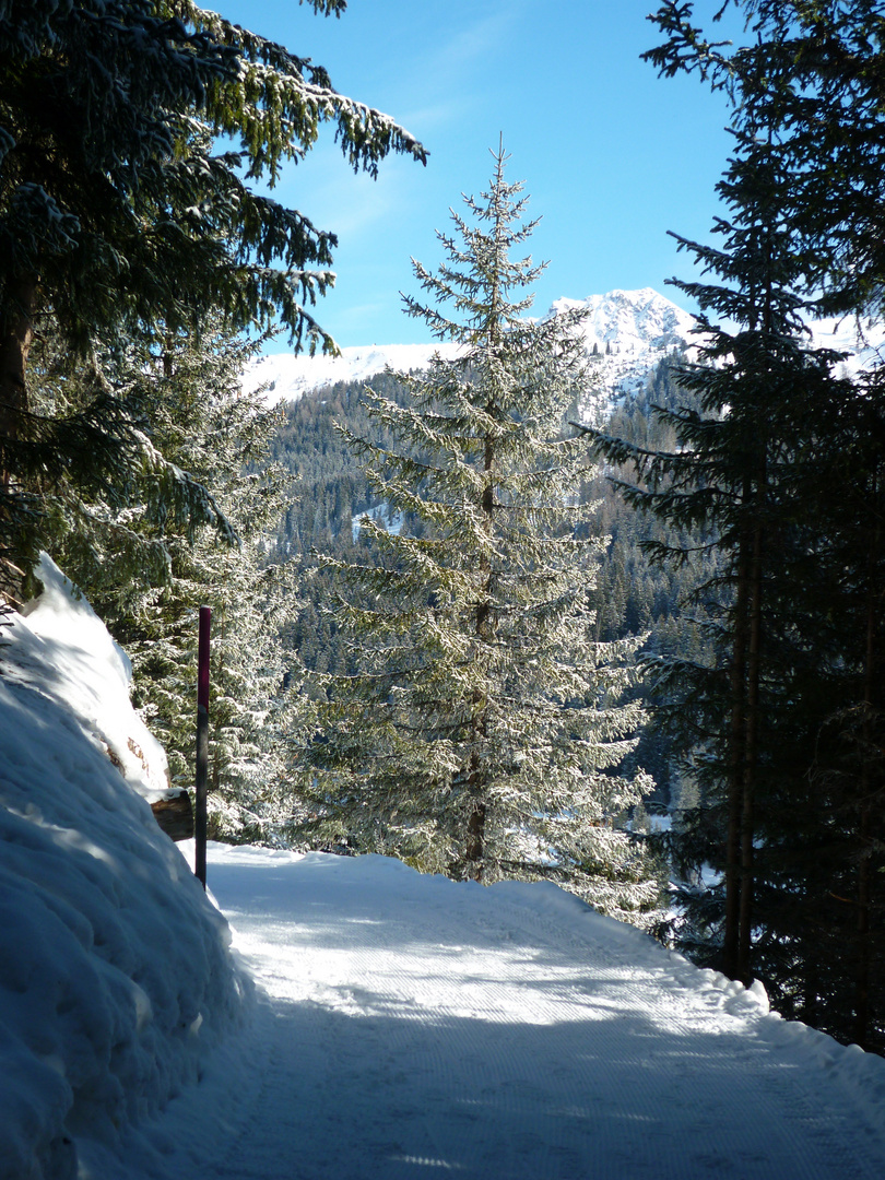 Winter in Arosa