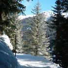 Winter in Arosa