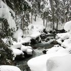 Winter in Arosa (CH)