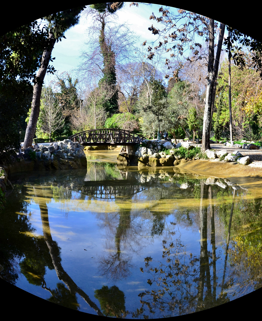 Winter in Athens