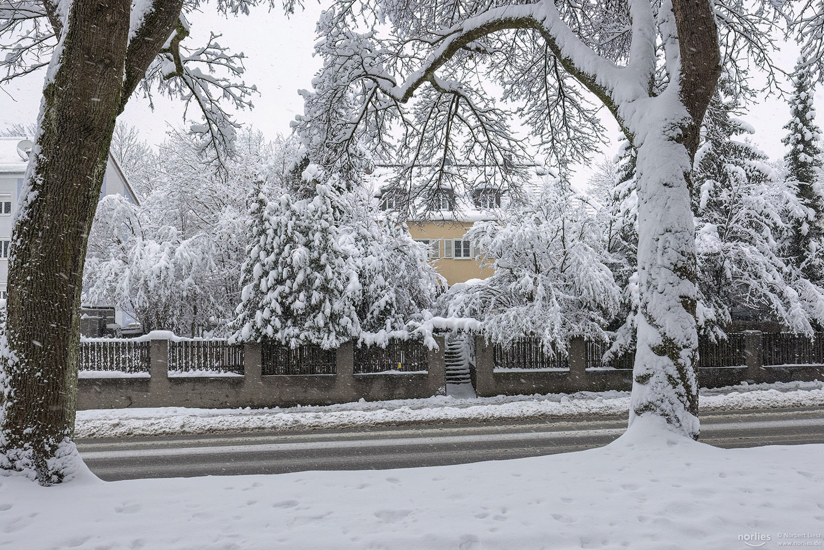 Winter in Augsburg