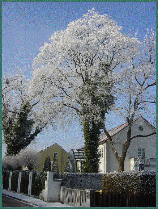 Winter in Augsburg/Hochzoll