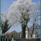 Winter in Augsburg/Hochzoll