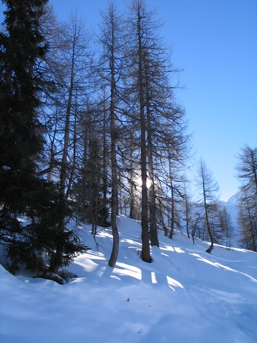 Winter in Austria 2