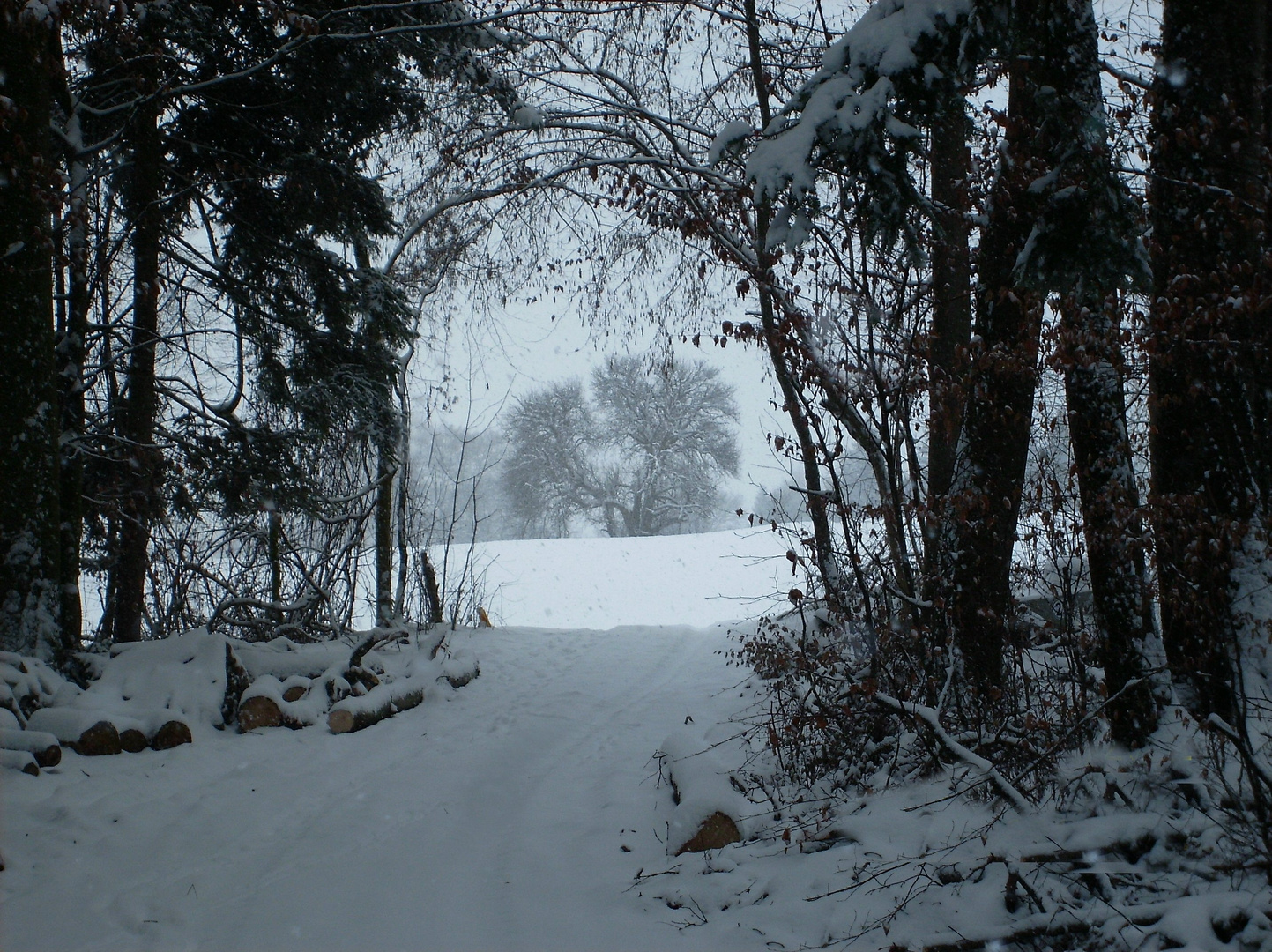 Winter in Bad Feilnbach