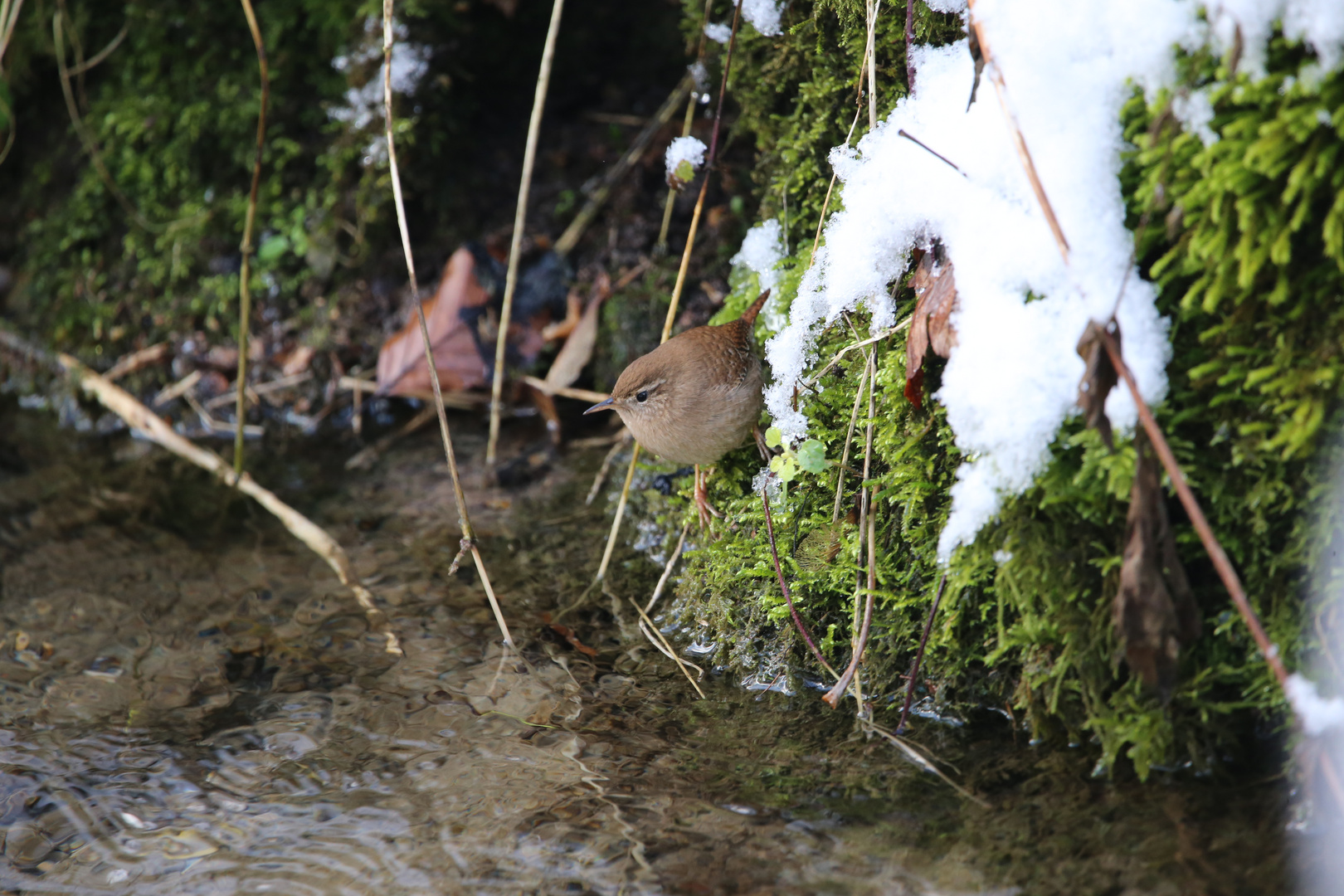 Winter in Bad Urach