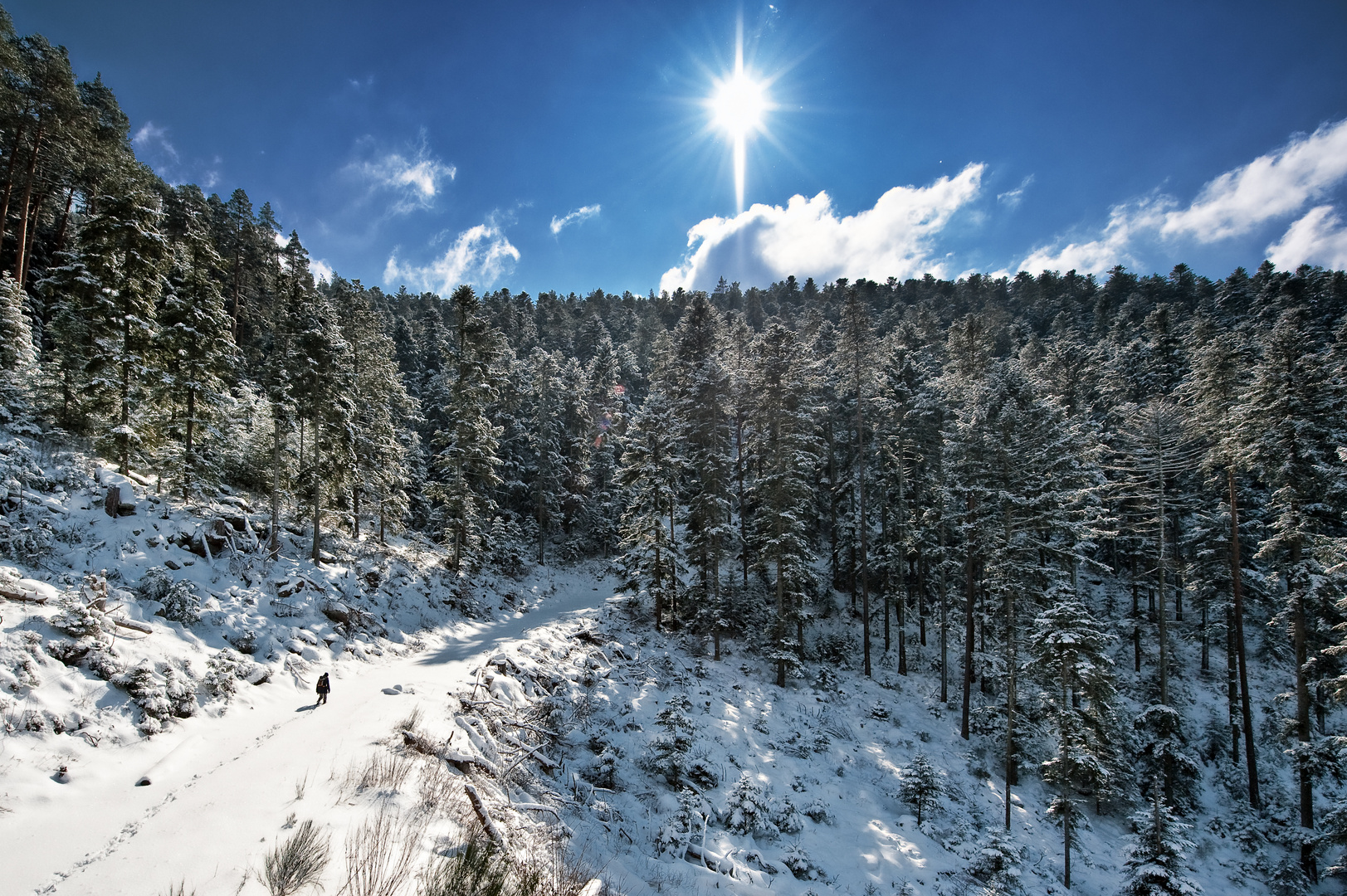 Winter in Bad Wildbad - auf dem Weg zum Meisternkopf