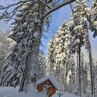 Winter in BärnKopf