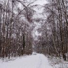 Winter in Balloch