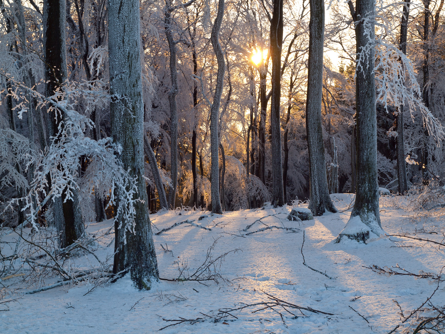 Winter in Balve im Sauerland