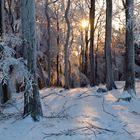 Winter in Balve im Sauerland