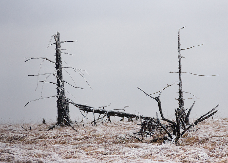 Winter in Baraque Michel