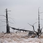 Winter in Baraque Michel