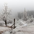 Winter in Baraque Michel