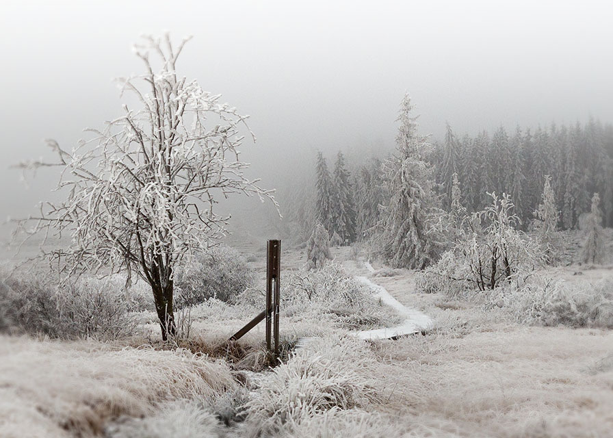 Winter in Baraque Michel