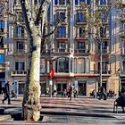 Winter in Barcelona