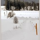Winter in Bavaria 2