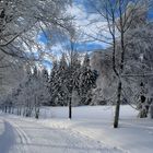 Winter in Bayerische Wald