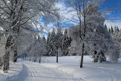 Winter in Bayerische Wald