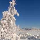 Winter in Bayern