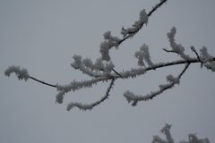 Winter in Bayern