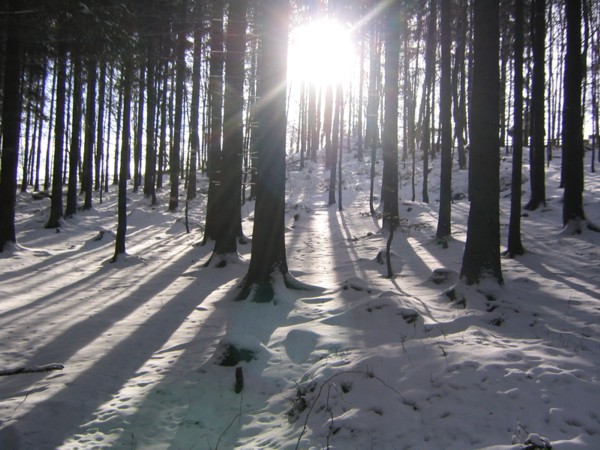 Winter in Bayern