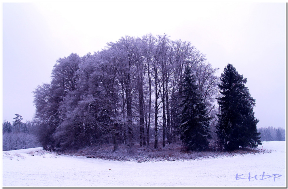 Winter in Bayern