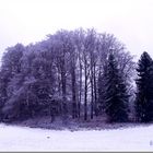 Winter in Bayern