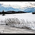 WINTER IN BAYERN-STAFFELSEE