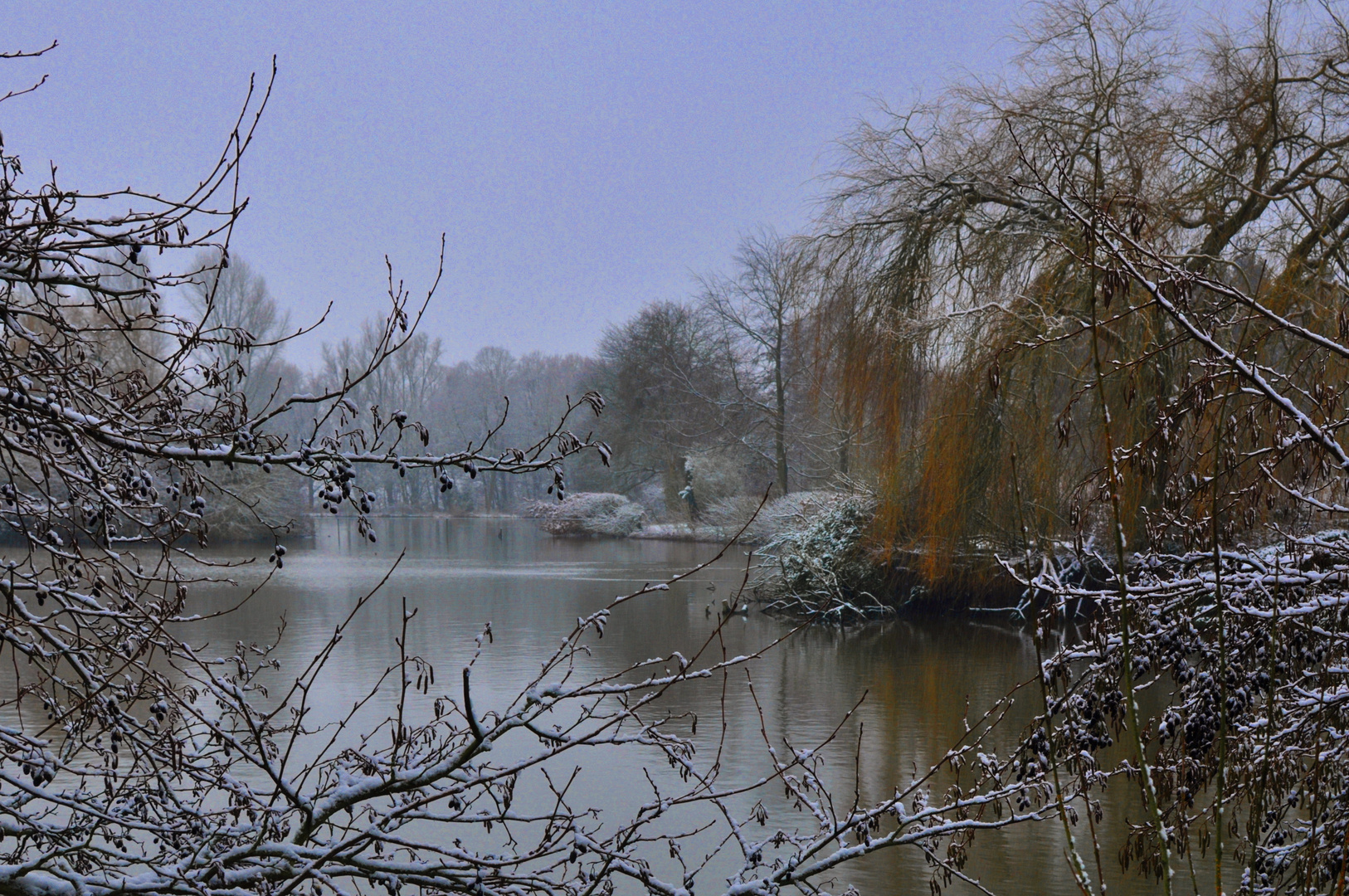 winter in belgique