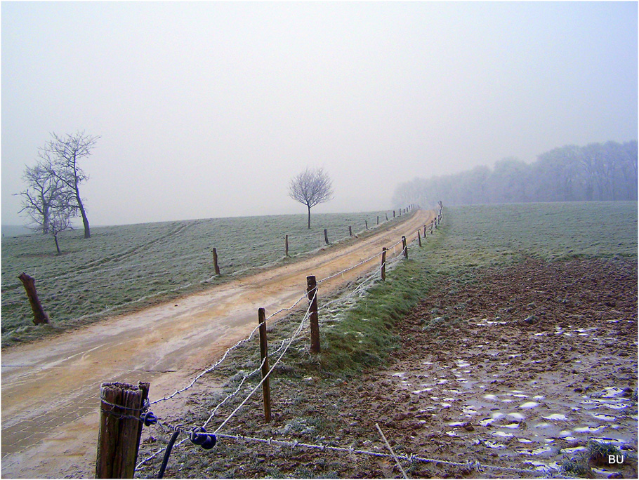 Winter in Bergisch Land II