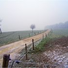 Winter in Bergisch Land II