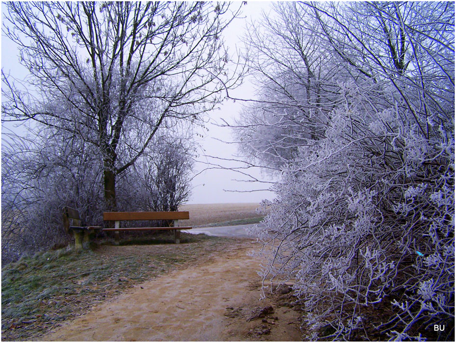 Winter in Bergisches Land