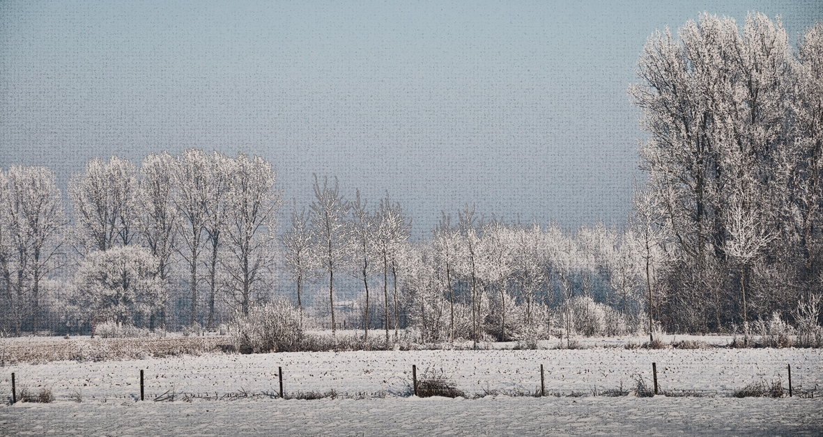 winter in Berlaar