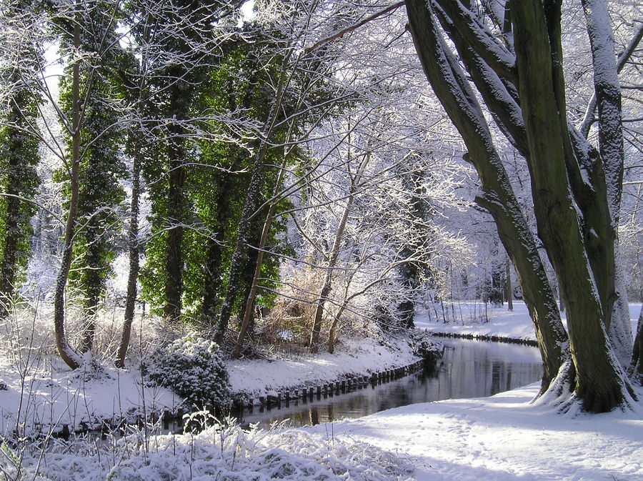 Winter in Berlin