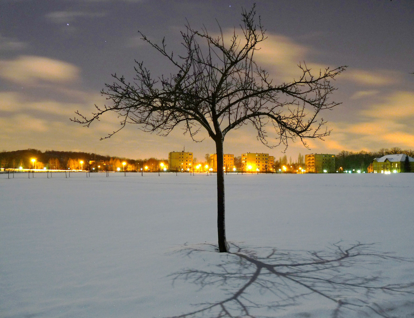 Winter in Berlin 2010