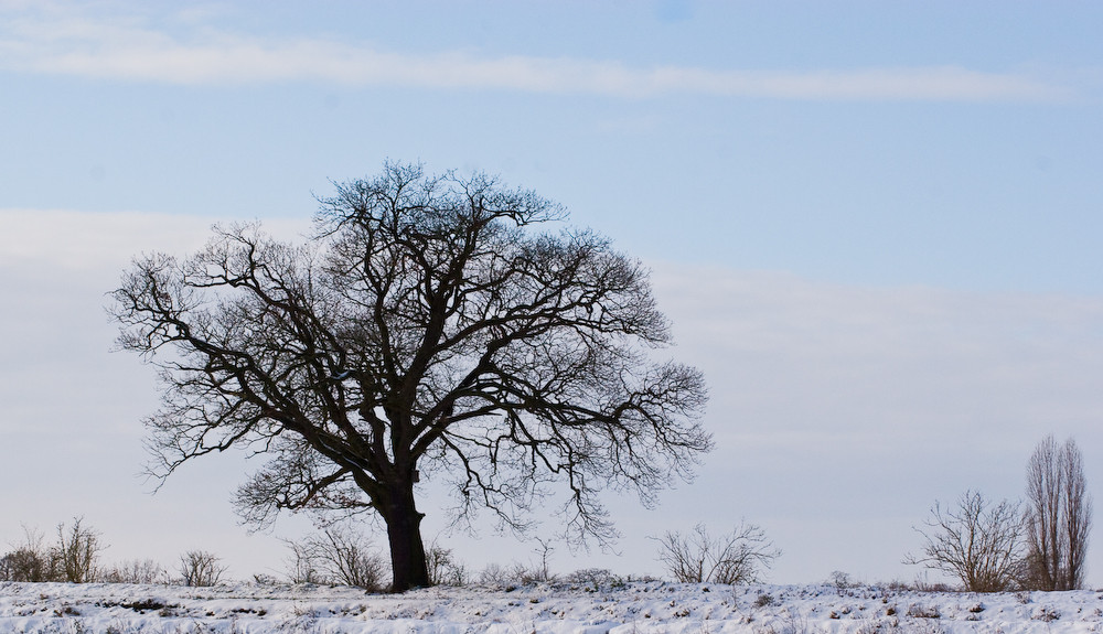 Winter in Berlin