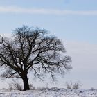 Winter in Berlin