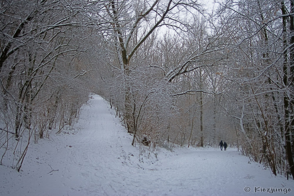 Winter in Berlin