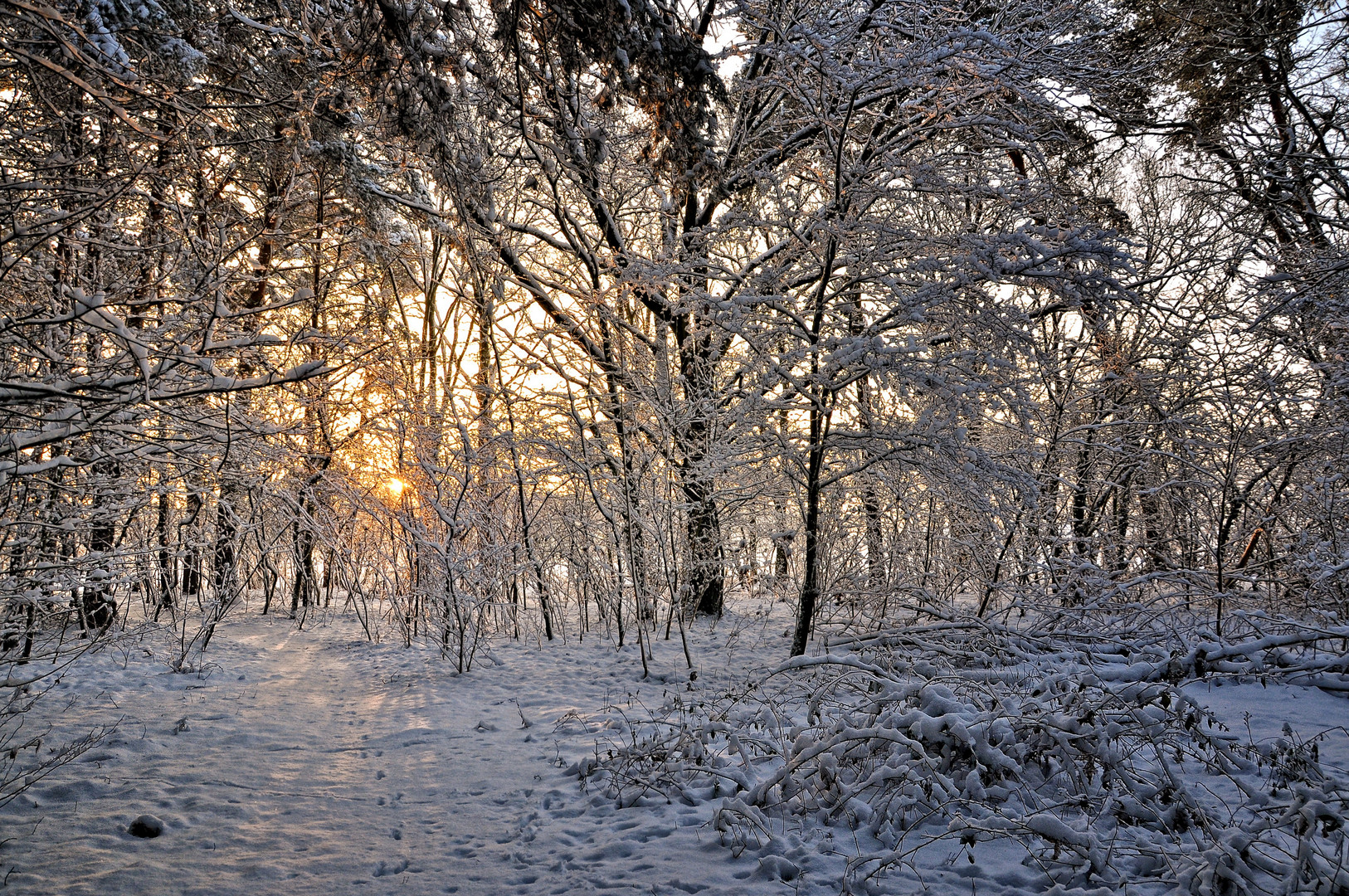 Winter in Berlin......