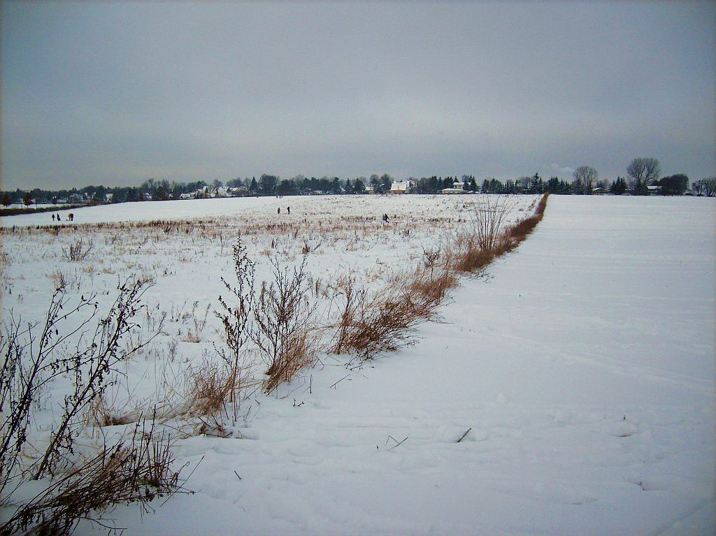 Winter in Berlin-Lübars I