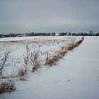 Winter in Berlin-Lübars I