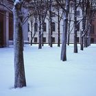 Winter in Berlin (New Guard House)