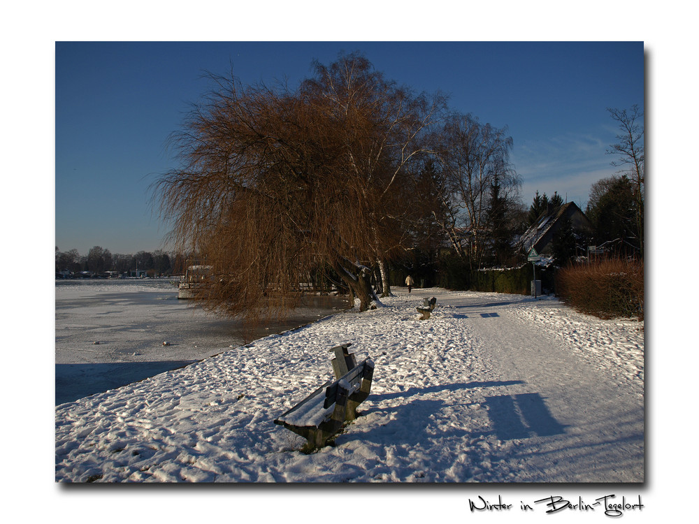 Winter in Berlin-Tegelort