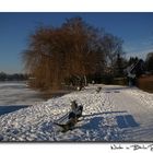 Winter in Berlin-Tegelort