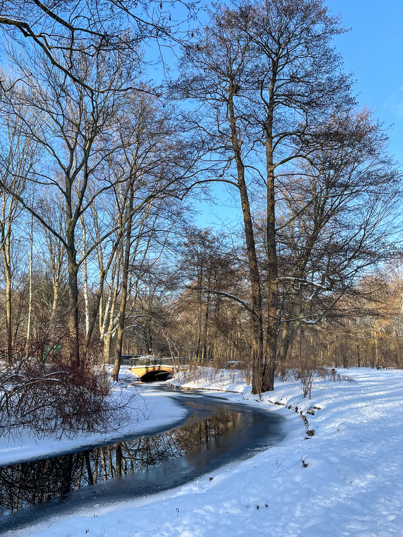 Winter in Berlin-Tiergarten