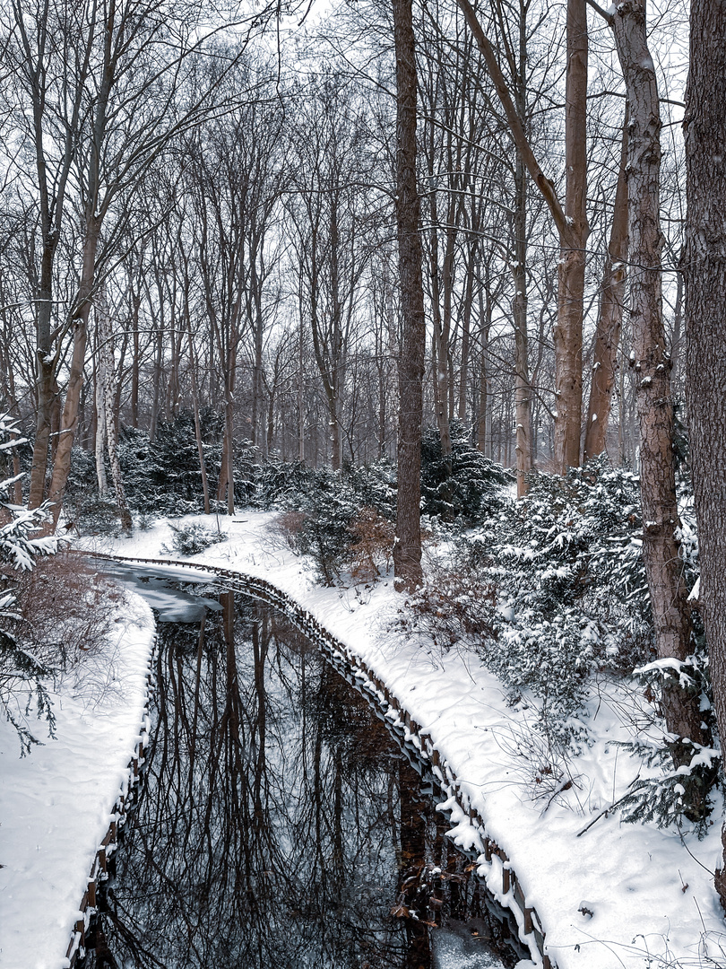 Winter in Berlin-Tiergarten