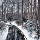 Winter in Berlin-Tiergarten