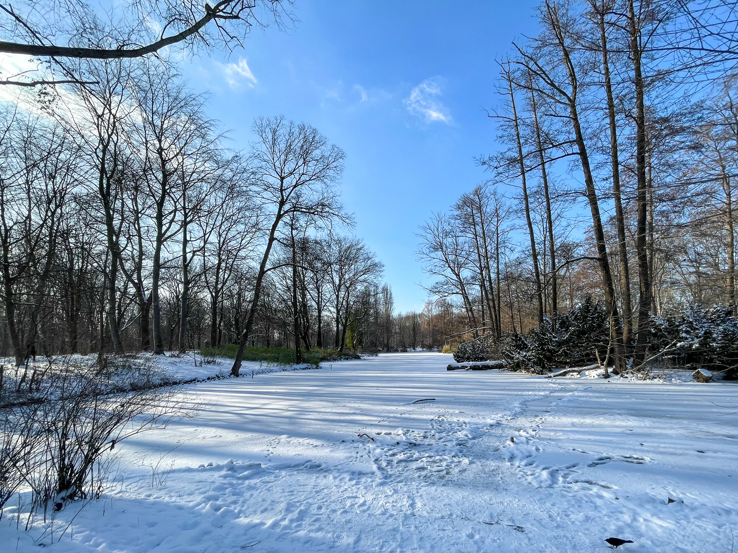 Winter in Berlin-Tiergarten
